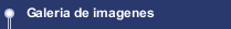 Galeria de imagenes