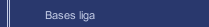 Bases liga